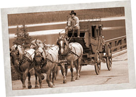 canmore transport